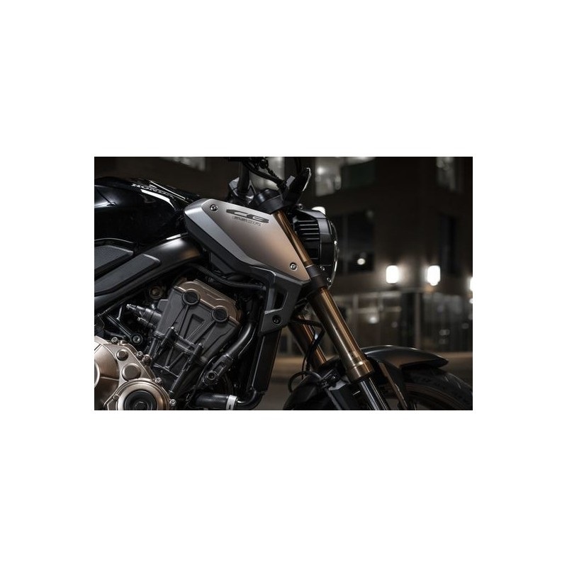 Оригинальные алюминиевые боковые накладки для Honda CB650R 2019- Оригинальные алюминиевые боковые накладки для Honda CB650R 2019-