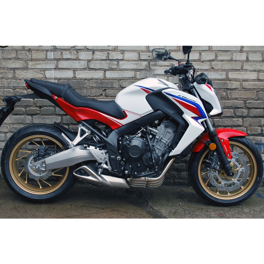 Защитные дуги Crazy Iron для мотоцикла Honda CB650F Защитные дуги Crazy Iron для мотоцикла Honda CB650F