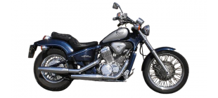 NV600 Steed (PC21)