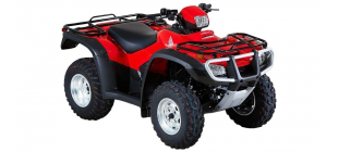 TRX500 Foreman Electric Shift (TE31)