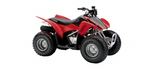 TRX90 FourTrax 4x2 </br> 1993-н.в.