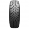 Bridgestone Blizzak DM-V2