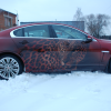 Аэрография Jaguar 