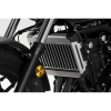 Защита радиатора DPM Race для Honda CMX500 REBEL 2017-2020