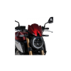 Обтекатель фары (ветровой щиток) Ermax для Honda CB650R 2019-