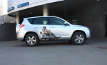 Аэрография Toyota Rav 