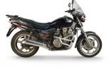 Клетка CRAZY IRON DAMPER для Honda CB750 `91-`07