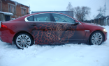 Аэрография Jaguar 
