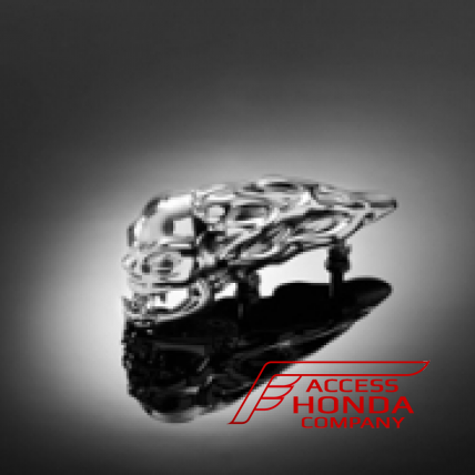 Череп на переднее крыло ''SKULL'' (1 шт) для Honda GL1800 Gold Wing 02-095